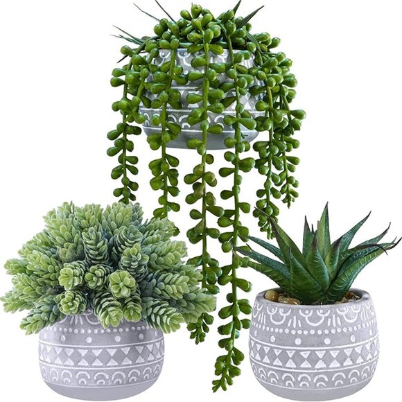NEW 3 Pcs Assorted Small Potted Succulent Plants Artificial Aloe Hops String. - Picture 4 of 9